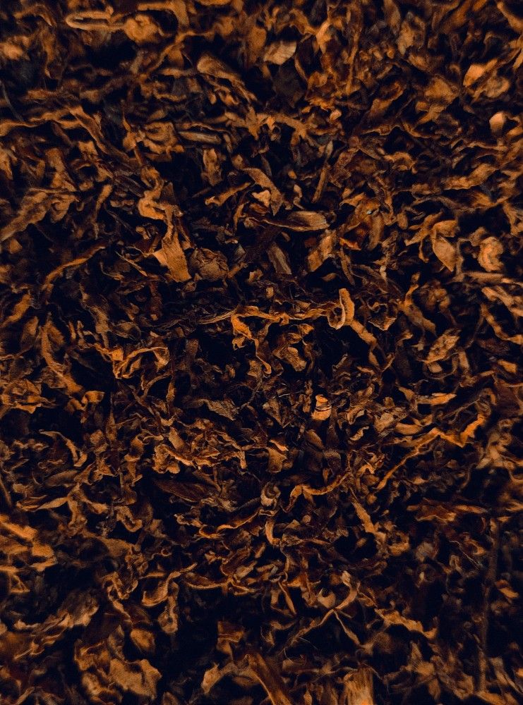 Feuilles de tabac brun séchées – accord tabac cuir en parfumerie de niche