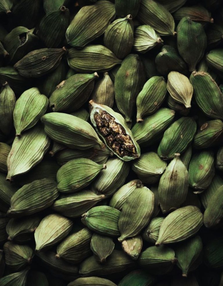 épices pour l'été — cardamome et matière brute — Noble Essence