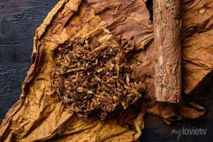 tabac en parfumerie — feuille de tabac — Noble Essence