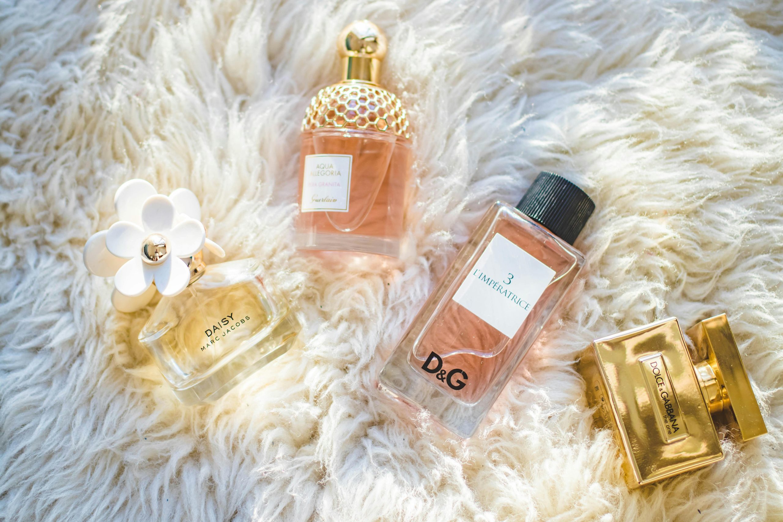 pyramide olfactive parfum — notes de tête cœur et fond sur fond sombre