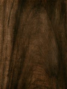 Gros plan sur un grain de bois sombre — bois de gaïac en parfumerie — Noble Essence