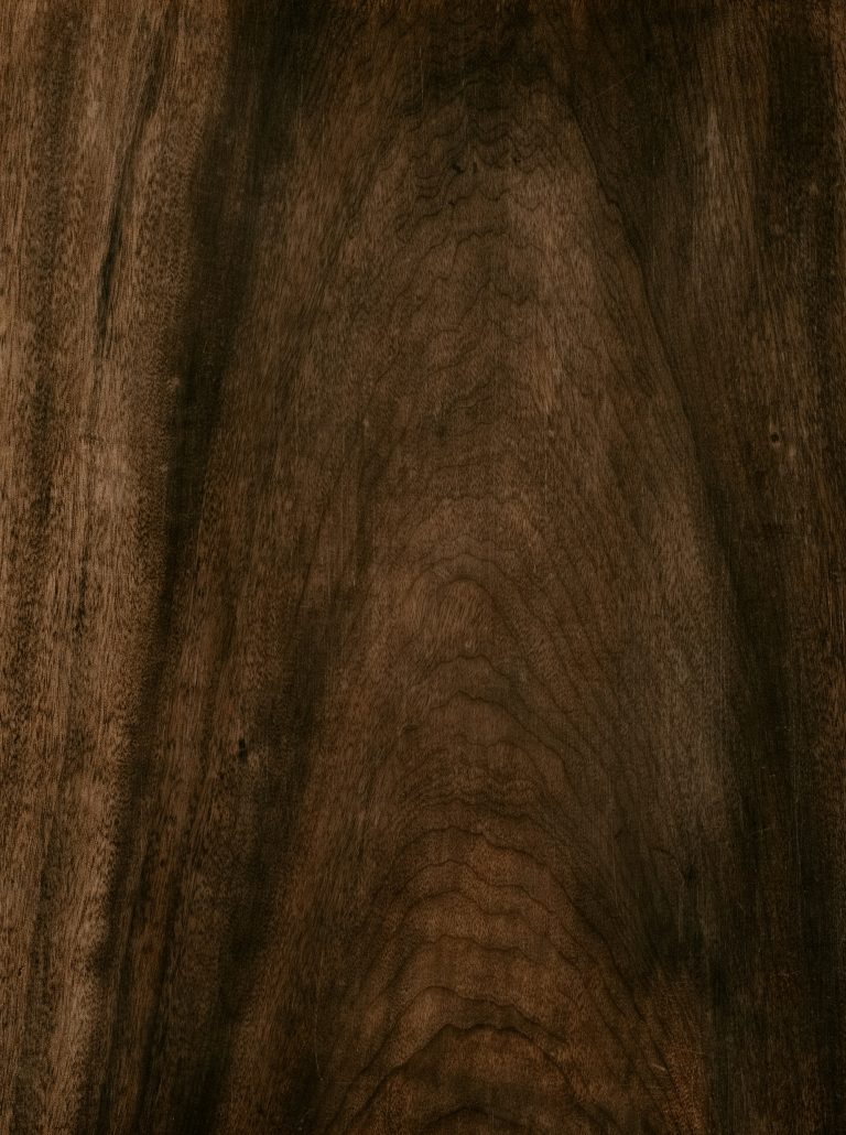 Gros plan sur un grain de bois sombre — bois de gaïac en parfumerie — Noble Essence