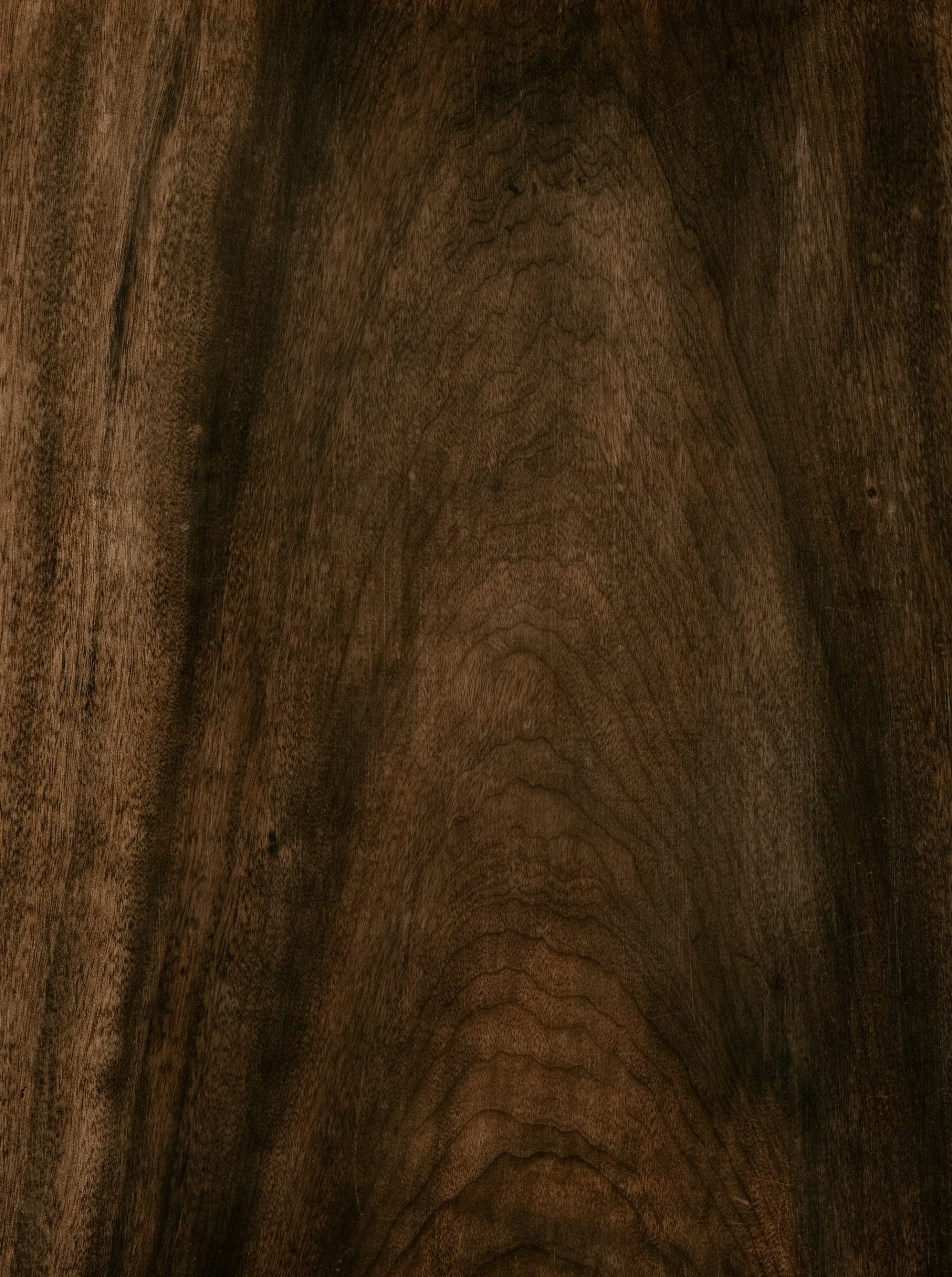 Gros plan sur un grain de bois sombre — bois de gaïac en parfumerie — Noble Essence