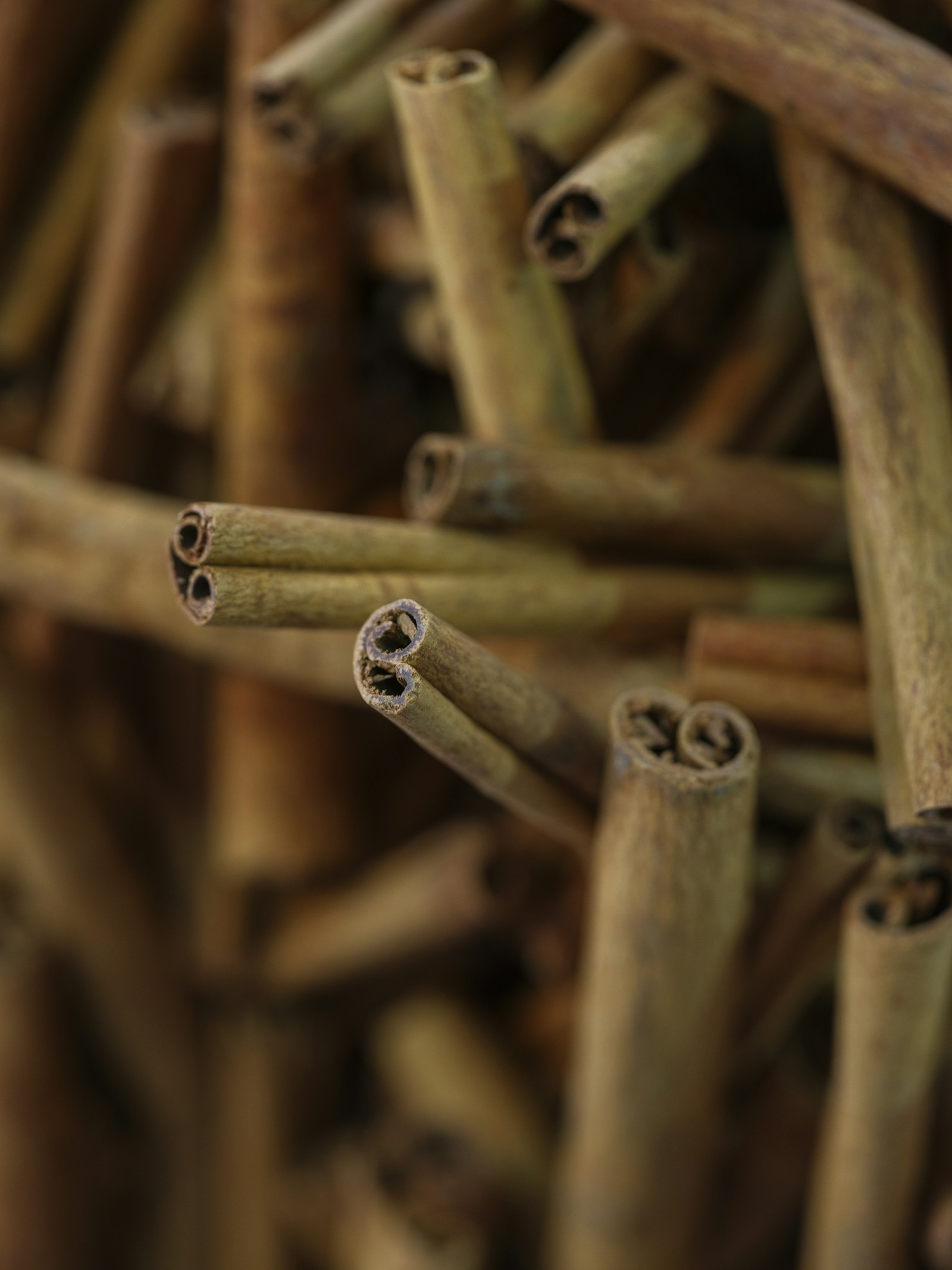 Bâtons de cannelle séchés — autre source de coumarine — Noble Essence