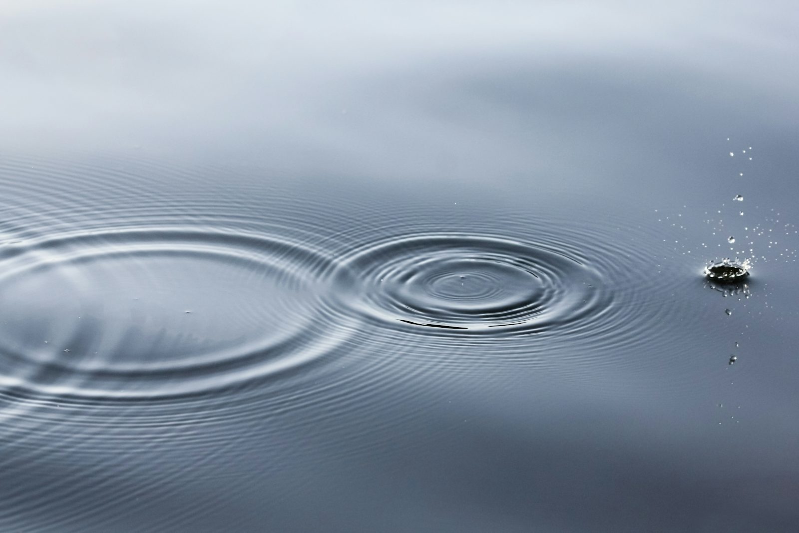 ondulations à la surface de l'eau, sensation aquatique évoquée en parfumerie