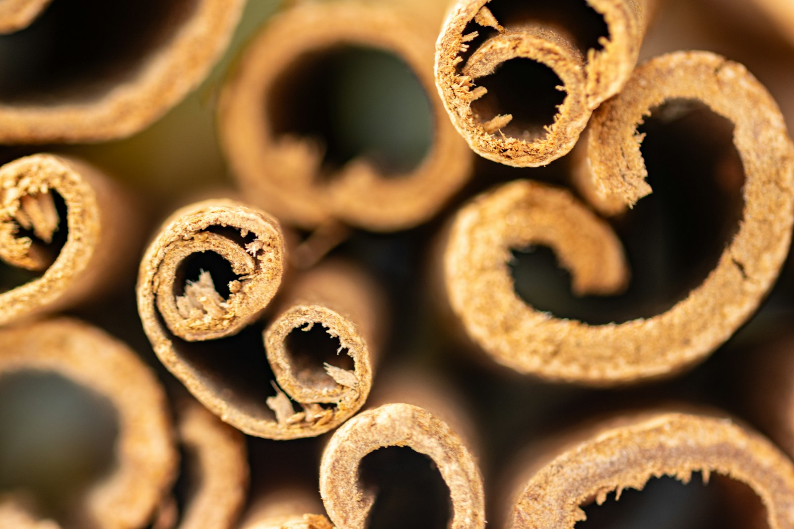 bâtons de cannelle empilés en gros plan, écorce utilisée en parfumerie orientale