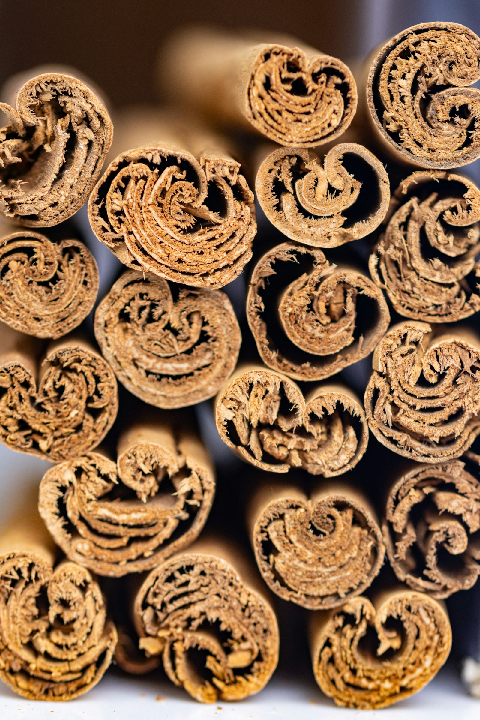 bâtons de cannelle empilés en pile, matière première de la cannelle en parfumerie orientale