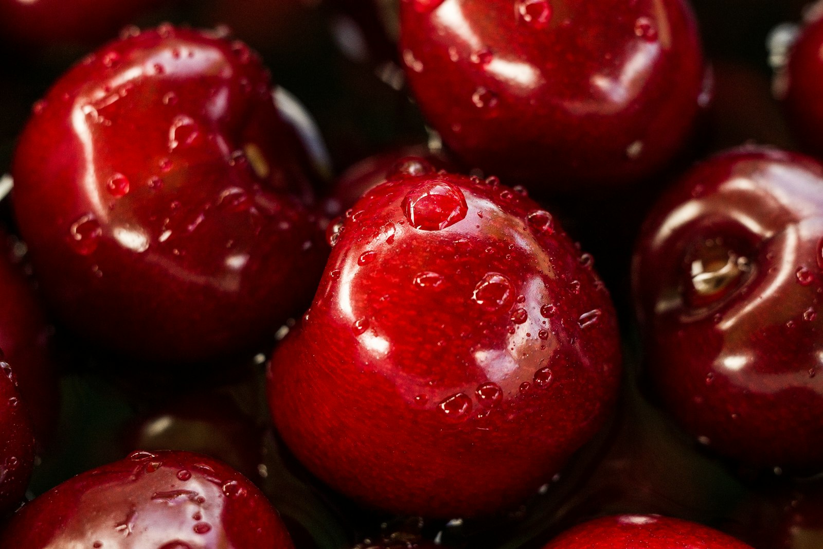 Cerises rouges fraîches, fruit qui donne son nom à la note cerise en parfumerie