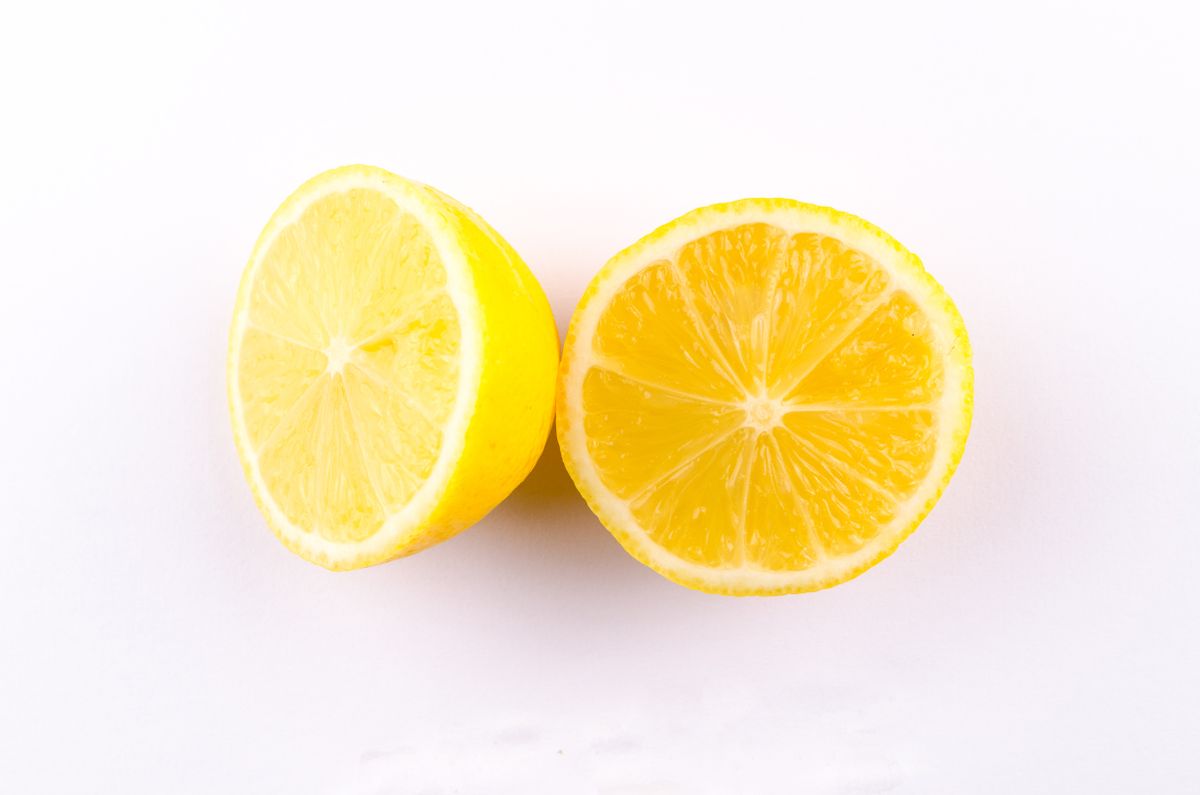 citrons et oranges coupés en gros plan pour illustrer les notes d'agrumes en parfumerie citrus floral