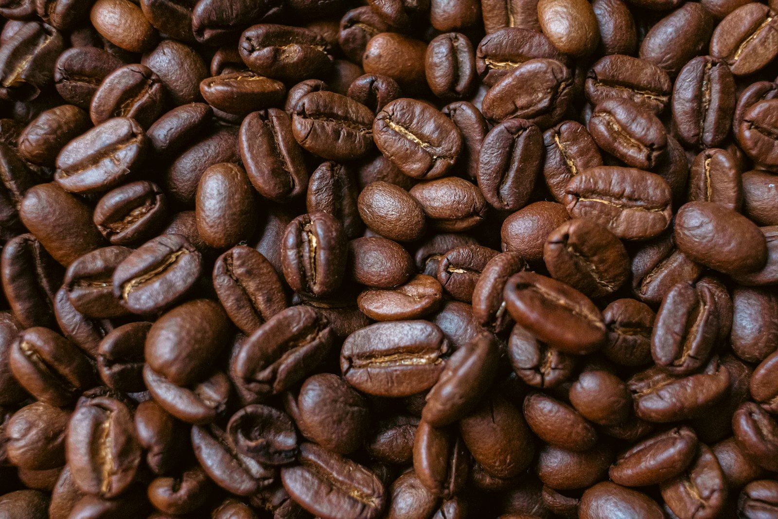 grains de café torréfiés en gros plan, contrepoint amer utilisé face aux notes gourmandes
