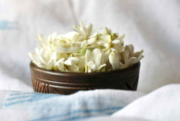 Tubéreuse en parfumerie — bouquet de fleurs blanches — Noble Essence