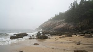 Plage brumeuse où l'ambre gris s'échoue parfois — ambre gris et ambroxan en parfumerie — Noble Essence
