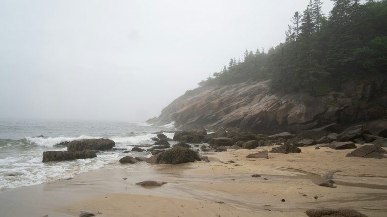 Plage brumeuse où l'ambre gris s'échoue parfois — ambre gris et ambroxan en parfumerie — Noble Essence