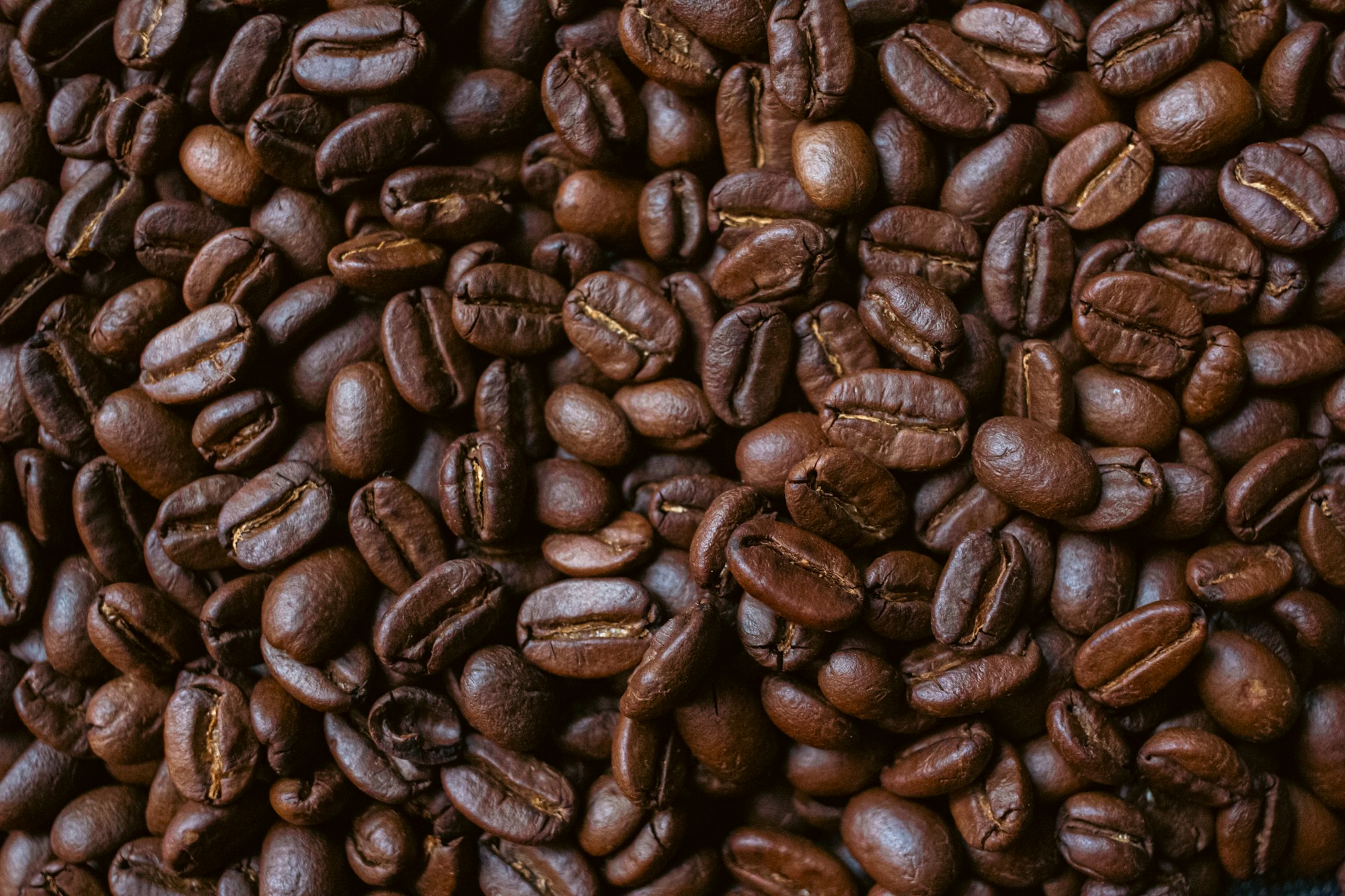 Grains de café torréfiés en gros plan — note gourmande torréfiée en parfumerie — Noble Essence