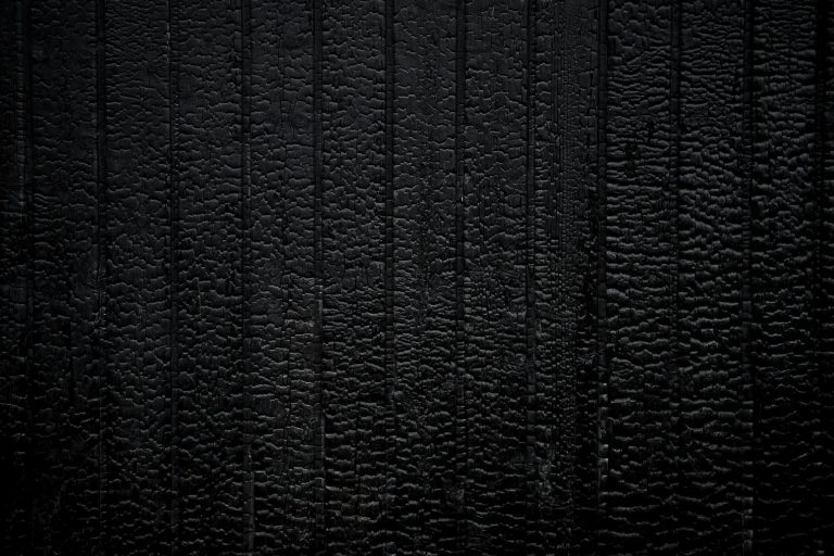 Texture de cuir noir en gros plan — registre animal de la parfumerie — Noble Essence