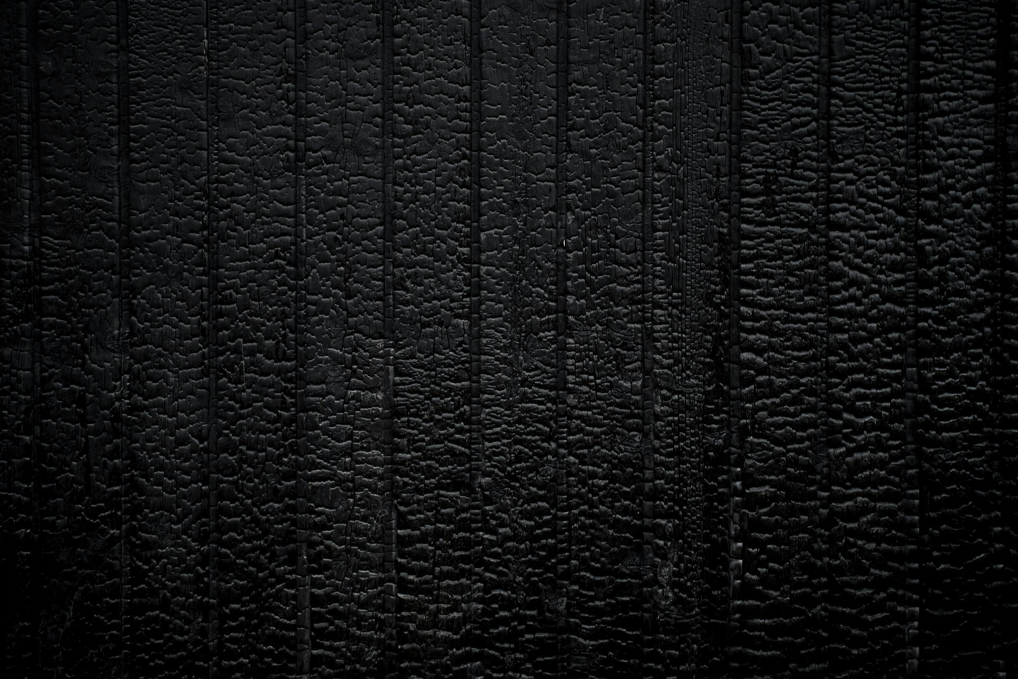 Texture de cuir noir en gros plan — facette animale du miel en parfumerie — Noble Essence