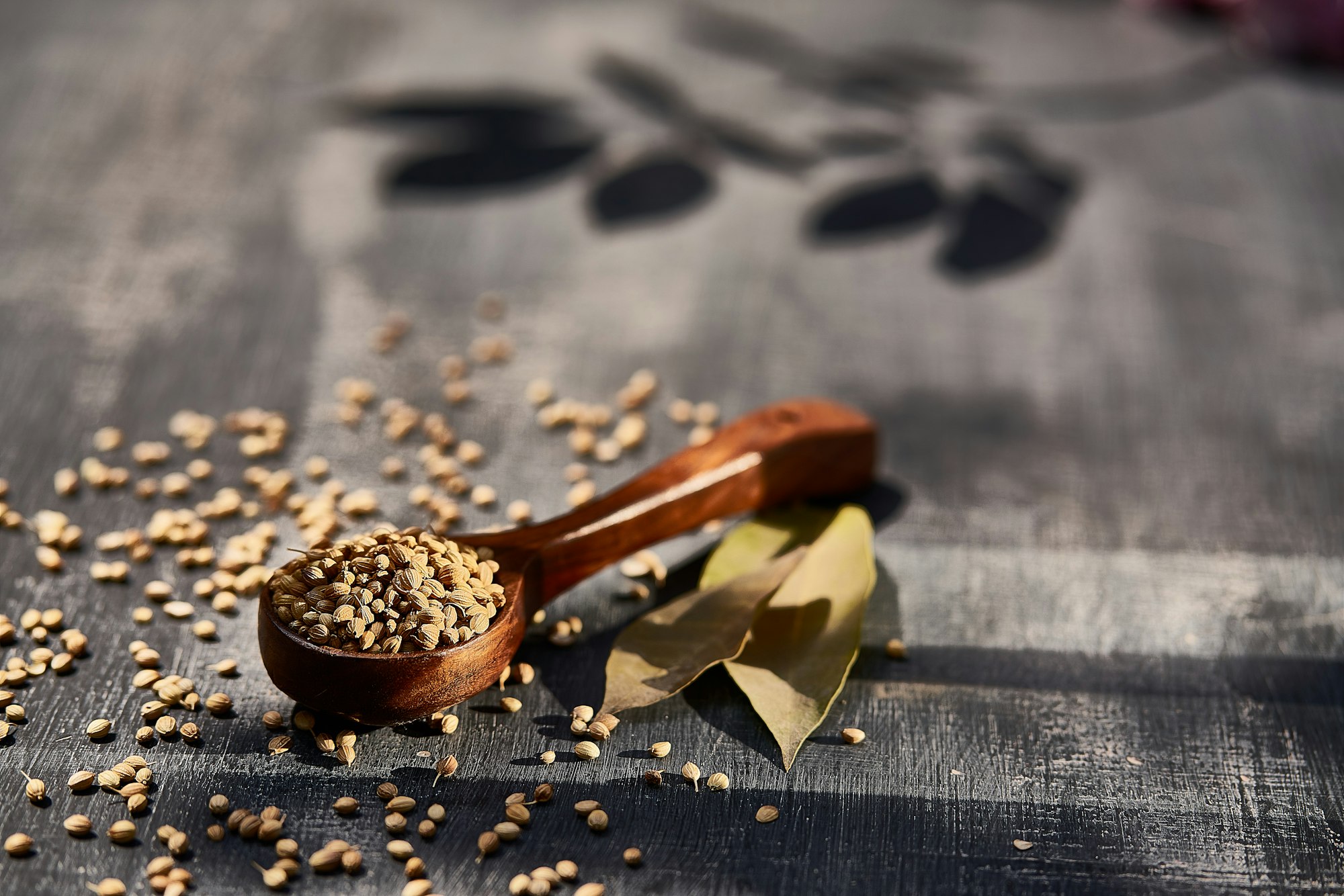 Cuillère en bois remplie de graines — dosage d'une épice en parfumerie — Noble Essence