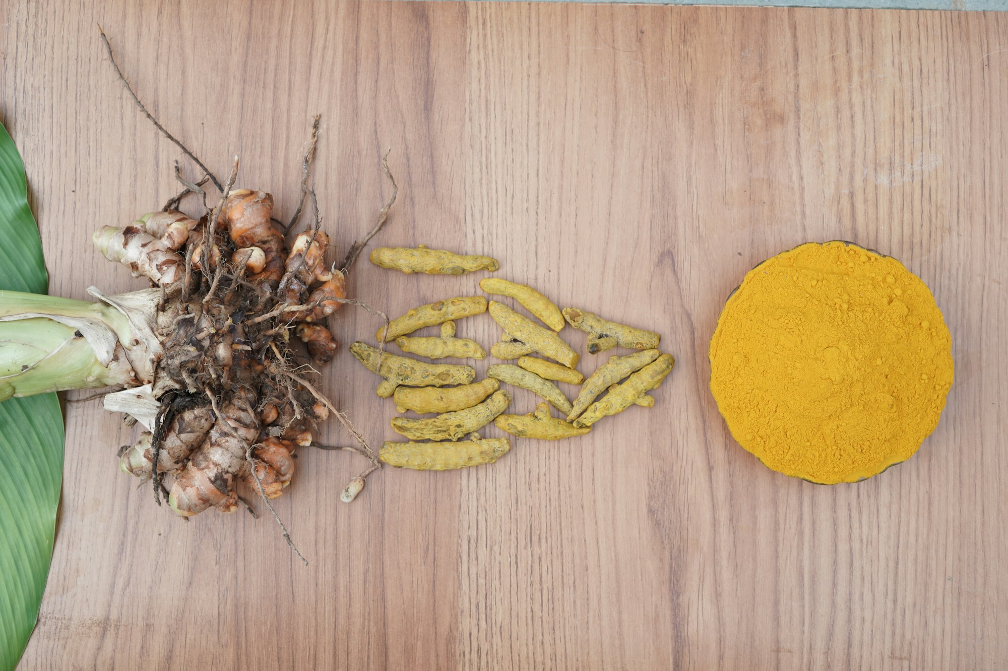 Racine de curcuma, tranches et poudre sur bois — matière brute avant transformation — Noble Essence