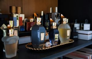 Collection de flacons de parfum variés sur une étagère — panorama des familles olfactives — Noble Essence