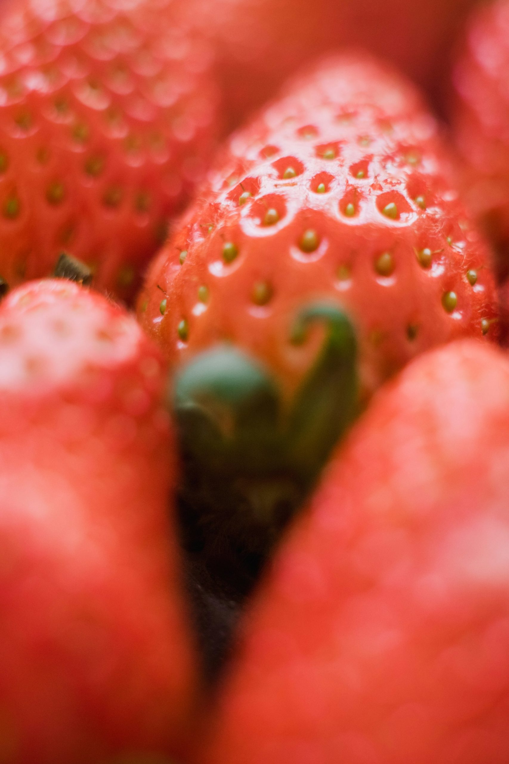 Fraise en gros plan — note fruitée entièrement synthétique en parfumerie — Noble Essence