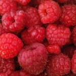 Framboises fraîches en gros plan — note fruitée reconstruite en parfumerie — Noble Essence