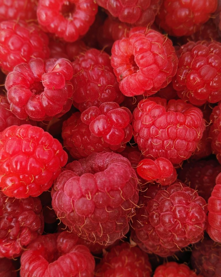 Framboises fraîches en gros plan — note fruitée reconstruite en parfumerie — Noble Essence