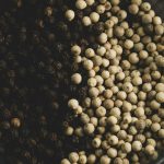 Grains ronds blancs sur fond noir — poivre blanc en parfumerie — Noble Essence